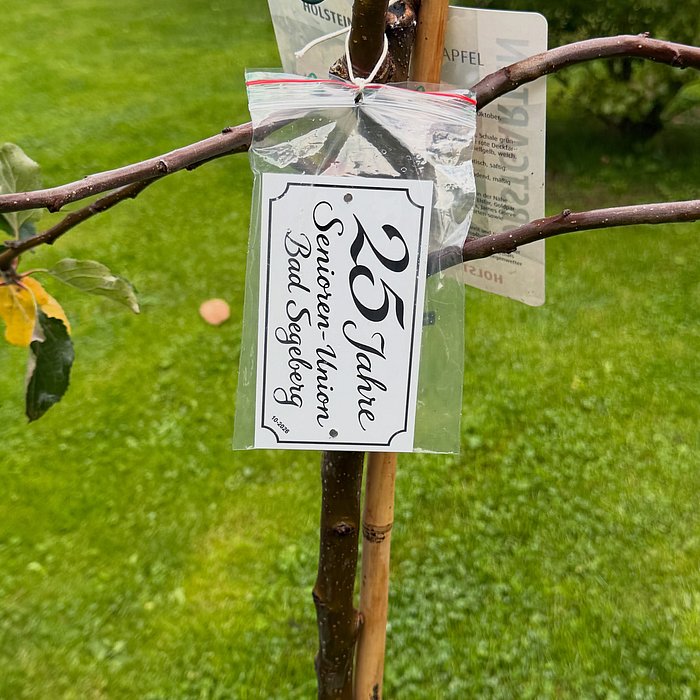 Wer sich seit 25 Jahren für andere einsetzt, verdient Anerkennung – und einen Baum, der noch lange an dieses Engagement ...